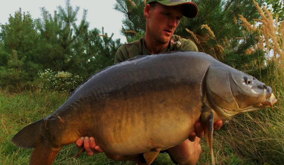 O krok zpět do sezóny 2016!