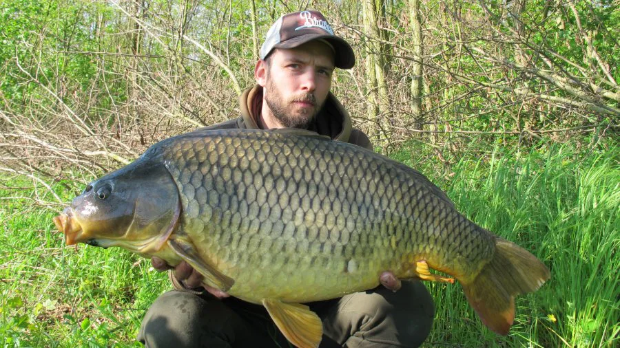 Proudnější část řeky