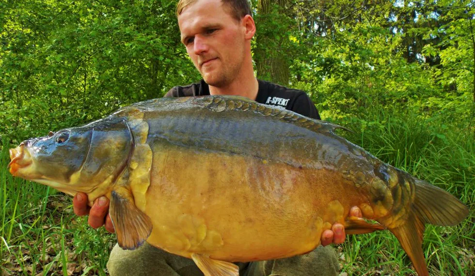 První lysci z trav!