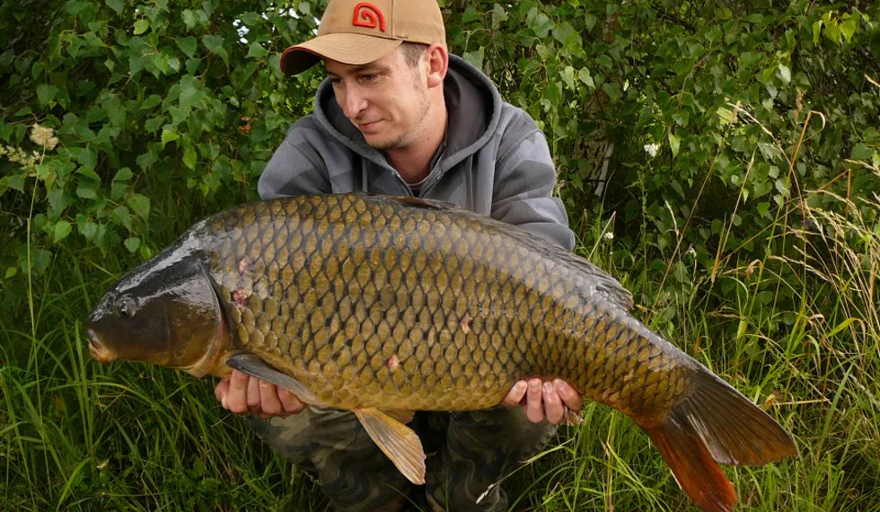 Kapr s vůní benzínu