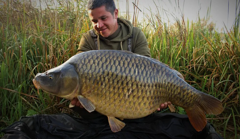 Scopex opět ve Francii