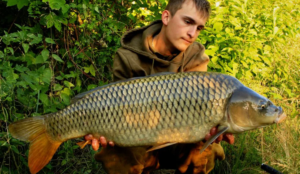 Návrat domov, vol.1