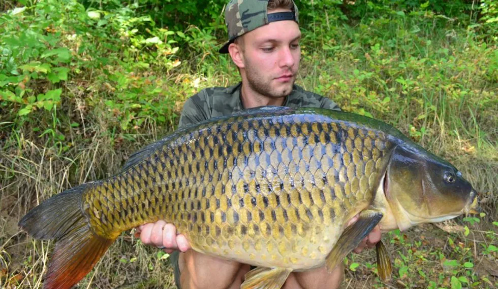 Buchťákův masakr!