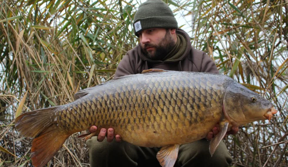 Blížící se konec roku 2017