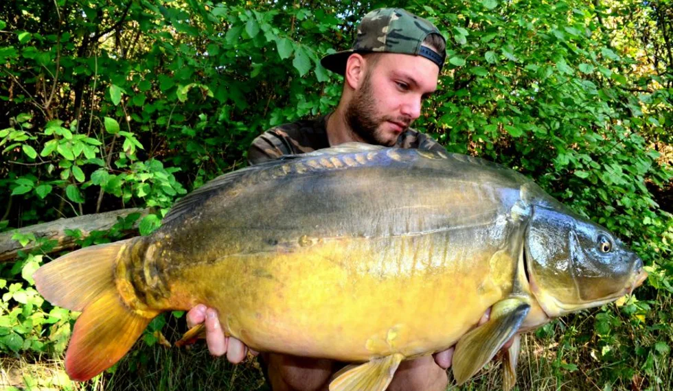 Buchťákovo pokračování