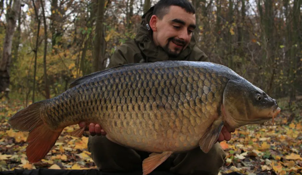 Podzimní krmná kampaň část - část 2