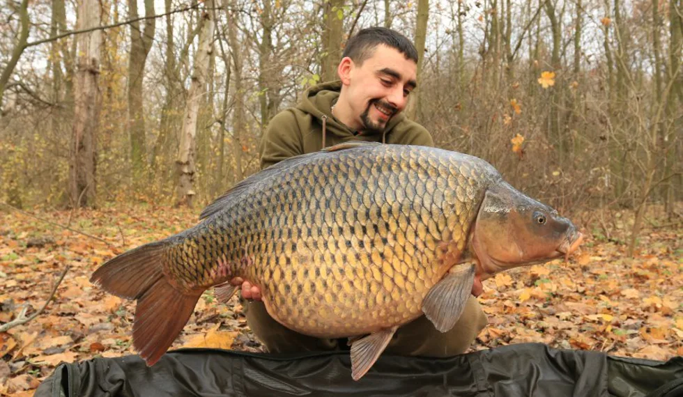 Podzimní krmná kampaň část - část 3