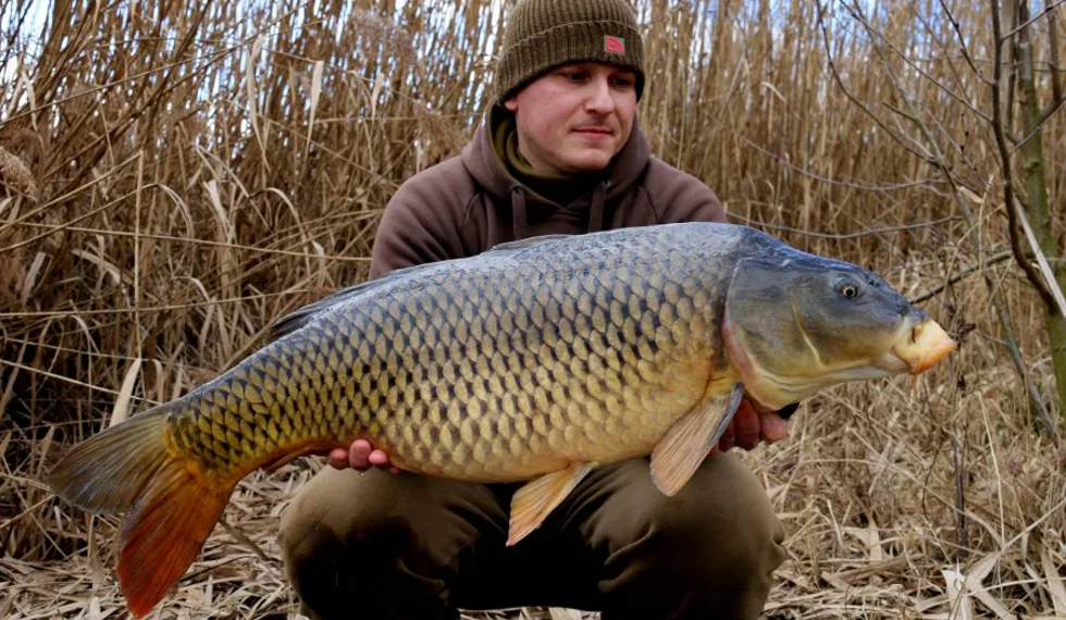 Chladné měsíce na začátku sezóny 2020