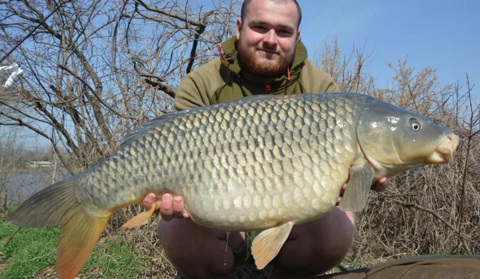 Návrat na začátek