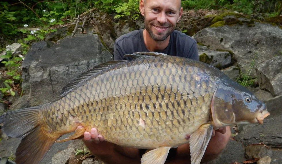 ORLÍK - ČERVEN 2020