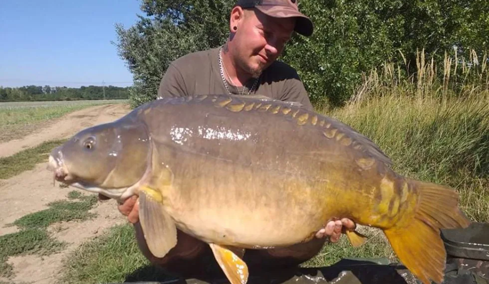 Dovolenkové vychádzky