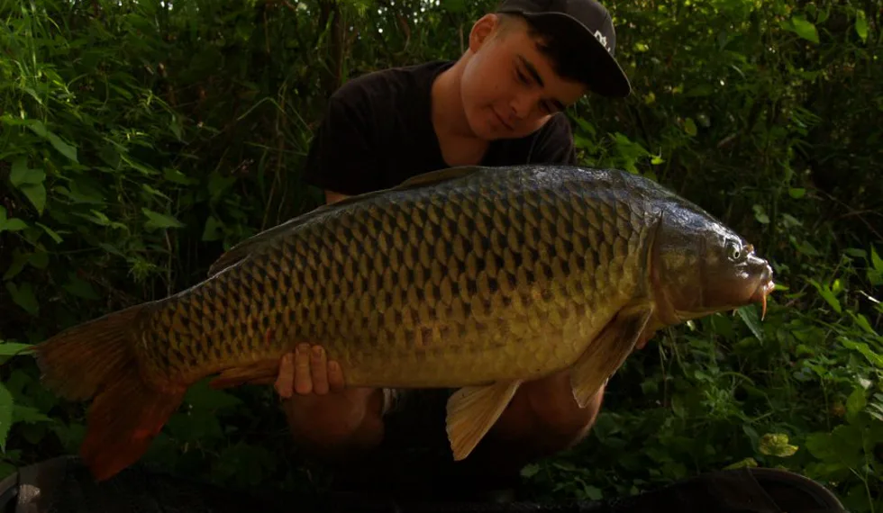 Vltavská kaskáda zas a znova