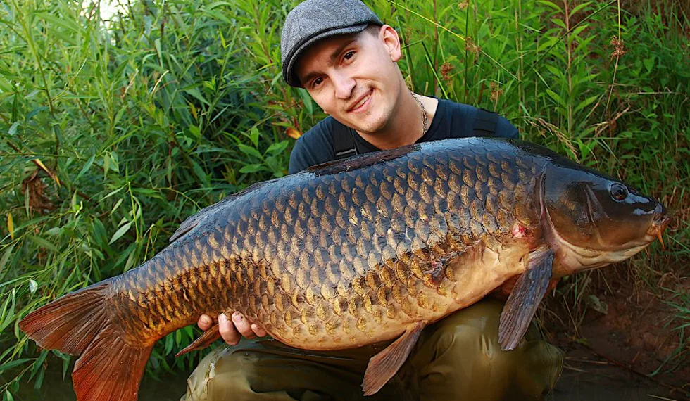 Letné noci s Ronnie rigmi