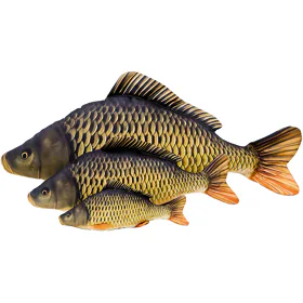 Gaby Polštář Kapr šupináč