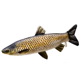 Gaby Polštář Amur