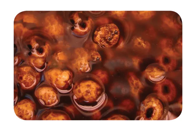 Nikl&#x20;Tyg&#x0159;&#x00ED;&#x20;o&#x0159;ech&#x20;nakl&#x00E1;dan&#x00FD;&#x20;fermentovan&#x00FD;&#x20;-&#x20;receptura&#x20;KN&#x20;2kg