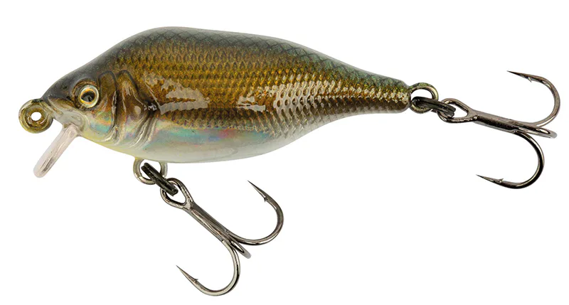 Fox&#x20;Rage&#x20;Wobler&#x20;Funk&#x20;Bug&#x20;-&#x20;UV&#x20;Real&#x20;Shiner