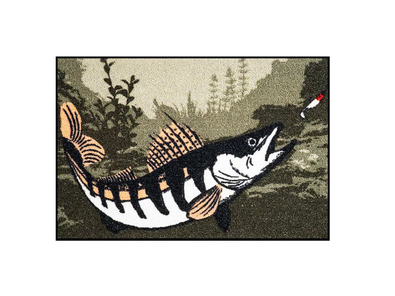 Delphin&#x20;Roho&#x017E;ka&#x20;CatchME&#x21;&#x20;Cand&#x00E1;t