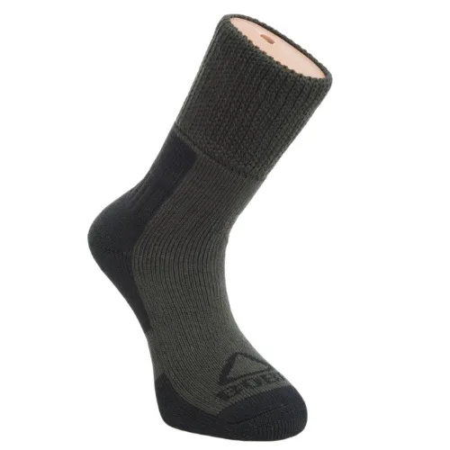 Bobr&#x20;Pono&#x017E;ky&#x20;zimn&#x00ED;